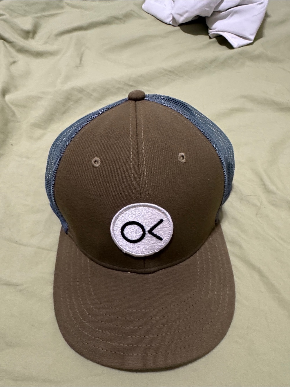 Patagonia Brown and Blue Trucker Hat with Patch